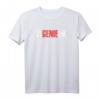 Ingenieur Genie Design - Technik Studium T-Shirt für Ingenieure, Studenten & Technikfans | Perfektes Geschenk zum Geburtstag, Vatertag & Weihnachten