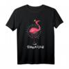 I'm Flamazing Lustiges Pinker Flamingo Shirt - Geschenkidee für Frauen, Damen und Sommerurlaub am Strand