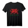 Cymru Am Byth Welsh Rugby Dragon Wales Supporter T-Shirt  Stolzes Walisisches Fan-Shirt für Spiele, Turniere & Supporter-Geschenke