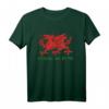 Cymru Am Byth Welsh Rugby Dragon Wales Supporter T-Shirt  Stolzes Walisisches Fan-Shirt für Spiele, Turniere & Supporter-Geschenke