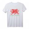 Cymru Am Byth Welsh Rugby Dragon Wales Supporter T-Shirt  Stolzes Walisisches Fan-Shirt für Spiele, Turniere & Supporter-Geschenke