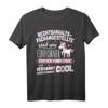 Lustiges Rechtsanwaltsfachangestellte Einhorn T-Shirt  Humorvolles Geschenk für Kolleginnen zum Geburtstag oder im Büro