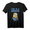 HapBunny Minions T-Shirt - Offiziell lizenzierte Minions Bekleidung mit Minions Portrait für Geburtstagsfans
